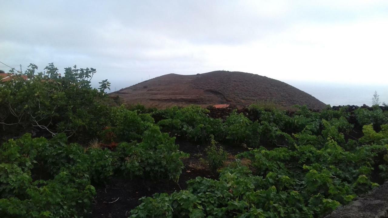 Casa Rural Domingo Pio Echedo エクステリア 写真